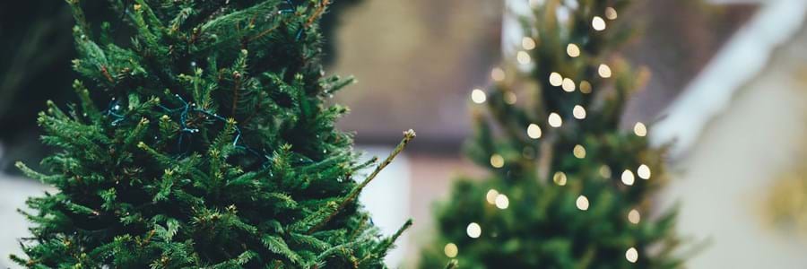 christmas-tree